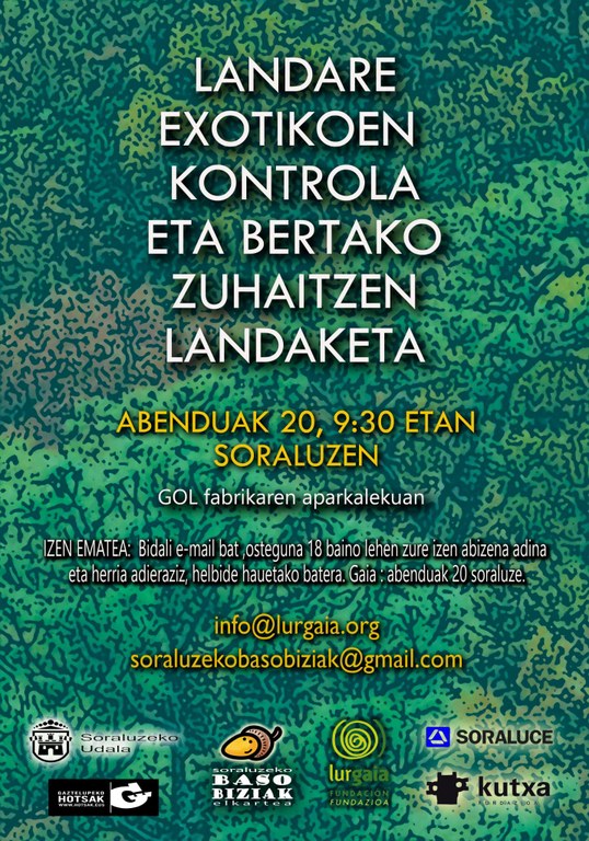 Control de plantas exóticas y plantación de árboles autóctonos