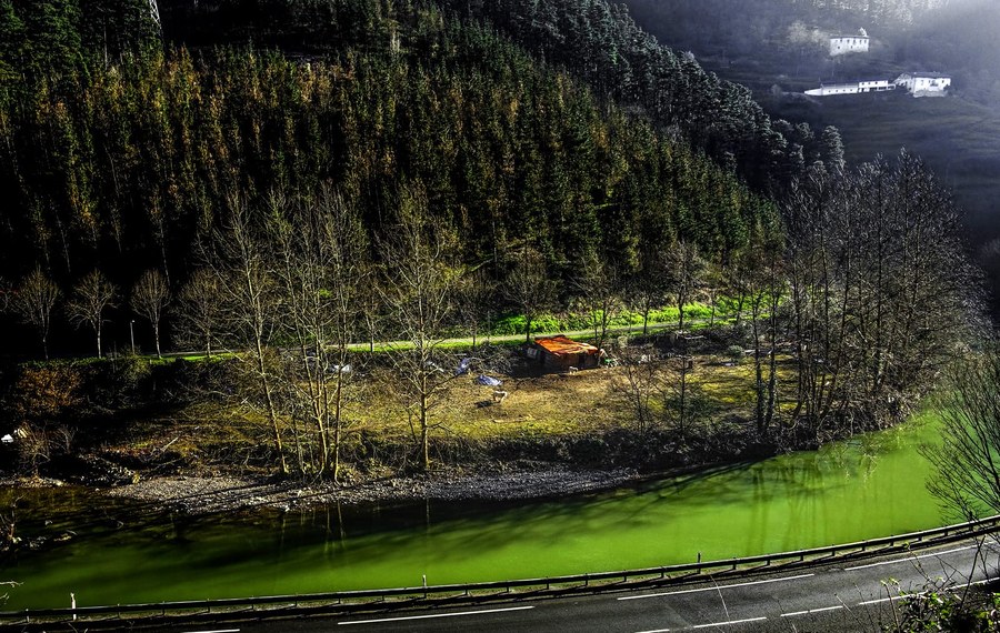 Compra de terreno en el bidegorri