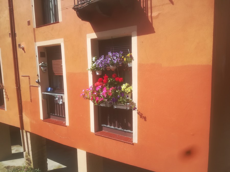 Concurso de flores en balcones y ventanas