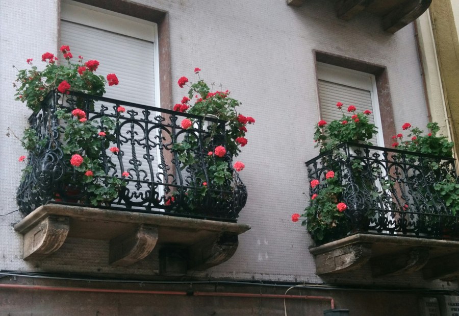 Concurso de flores en balcones y ventanas