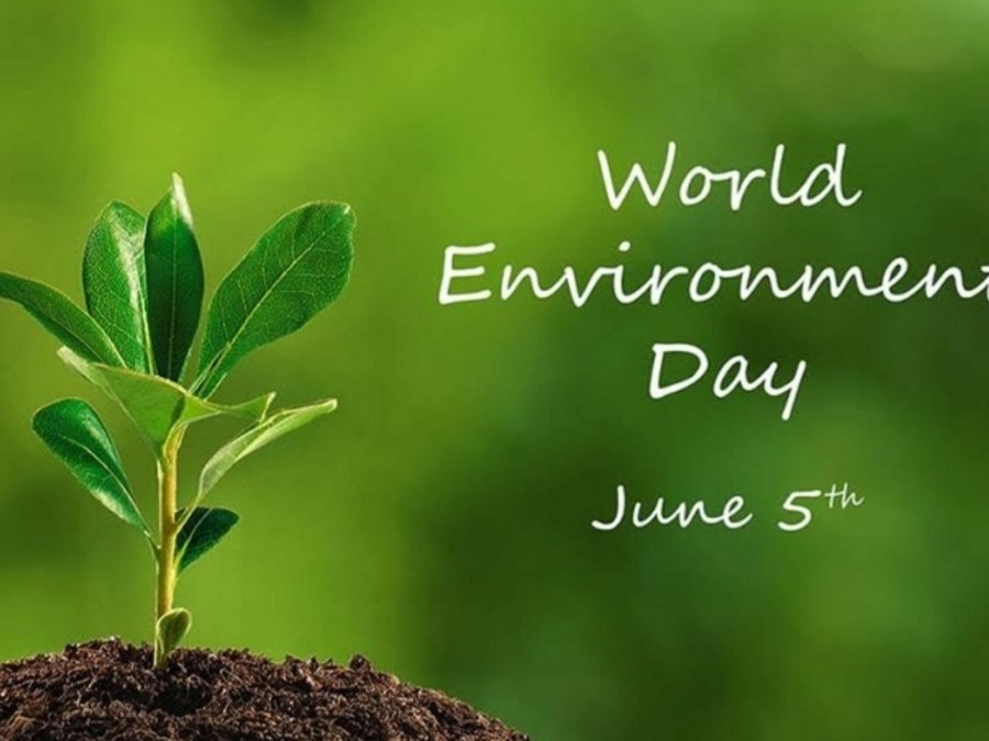Día Mundial del Medioambiente