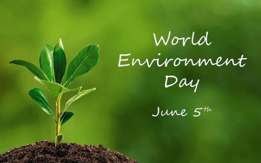 Día Mundial del Medioambiente Día Mundial del Medioambiente