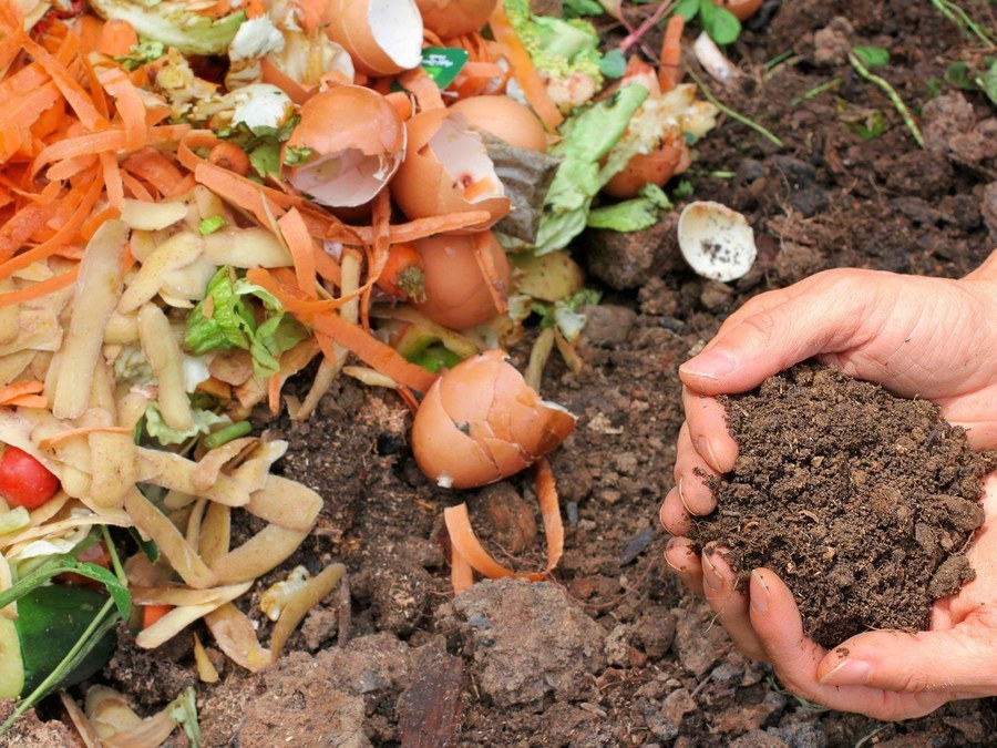 Disminuye la recogida de bio-residuos