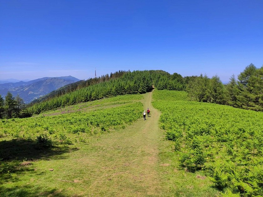 El Ayuntamiento de Soraluze ha emitido un comunicado ante el ataque de perros recibido por dos soraluzetarras el pasado sábado