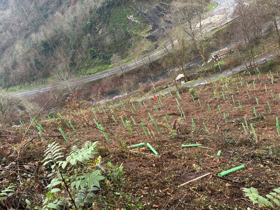 El Ayuntamiento de Soraluze recibe una nueva subvención para recuperar el valor natural y paisajístico de los terrenos cercanos al bidegorri