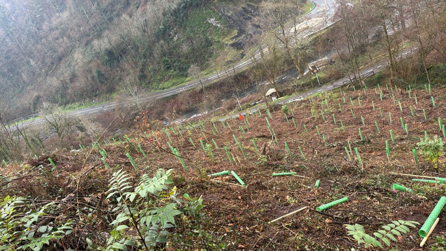 El Ayuntamiento de Soraluze recibe una nueva subvención para recuperar el valor natural y paisajístico de los terrenos cercanos al bidegorri