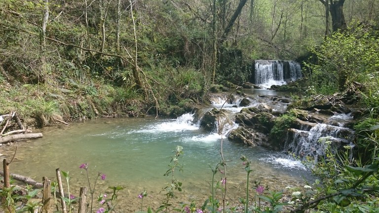 Excursión al pozo de Sagarrerreka