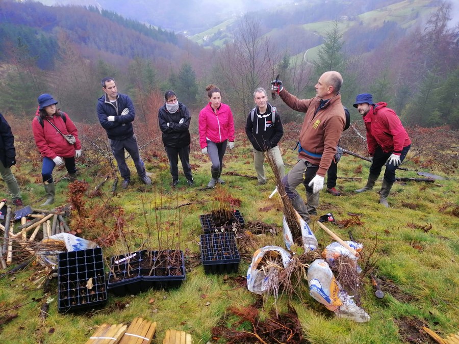 La plantación de árboles de este año se llevará a cabo el 21 de enero