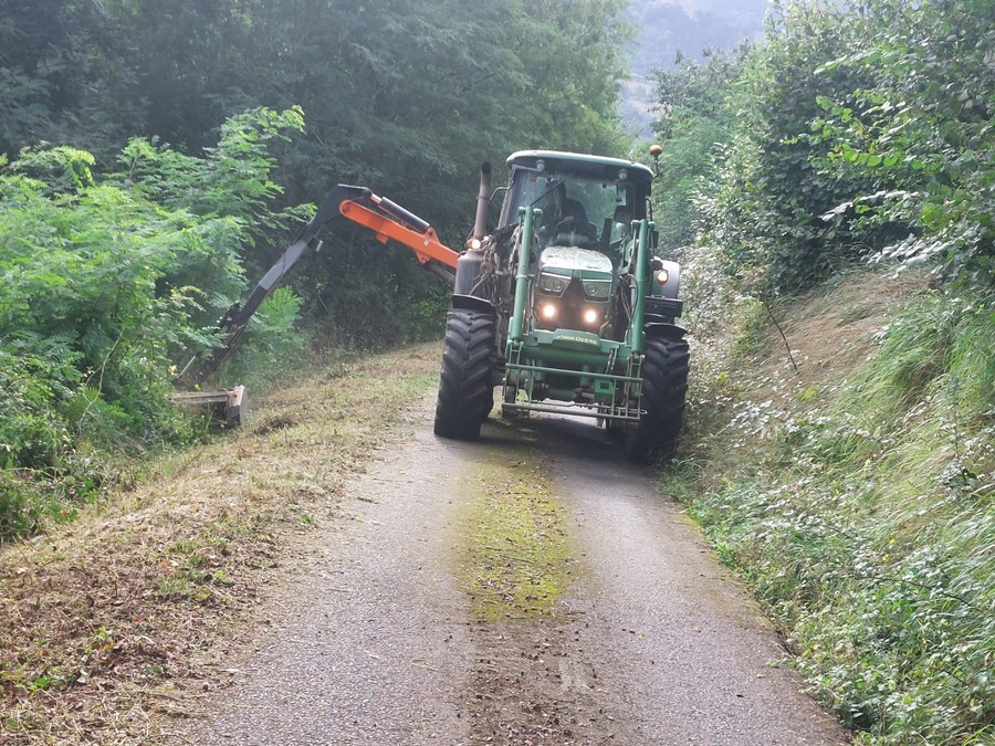 Los operarios de Debemen están realizando estos días labores de limpieza de caminos rurales