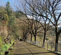 Los operarios han realizado labores de poda en las últimas semanas