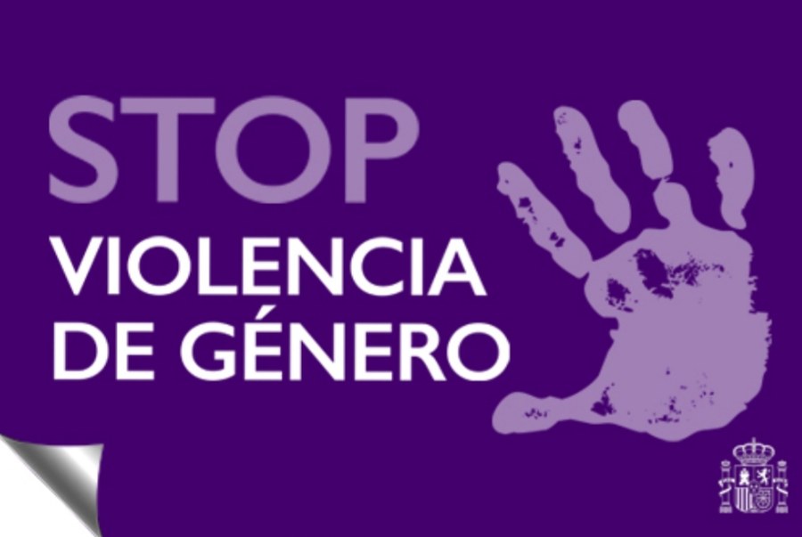 Lucha contra la violencia de género