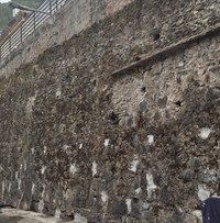 Operarios de la brigada realizan estos días trabajos de desratización