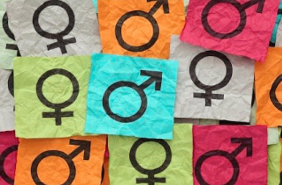 Plan para la Igualdad entre Mujeres y Hombres Plan para la Igualdad entre Mujeres y Hombres