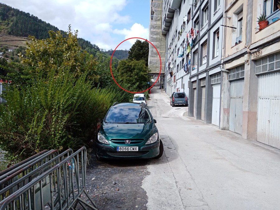 Poda de árboles en Mendiola industrialdea