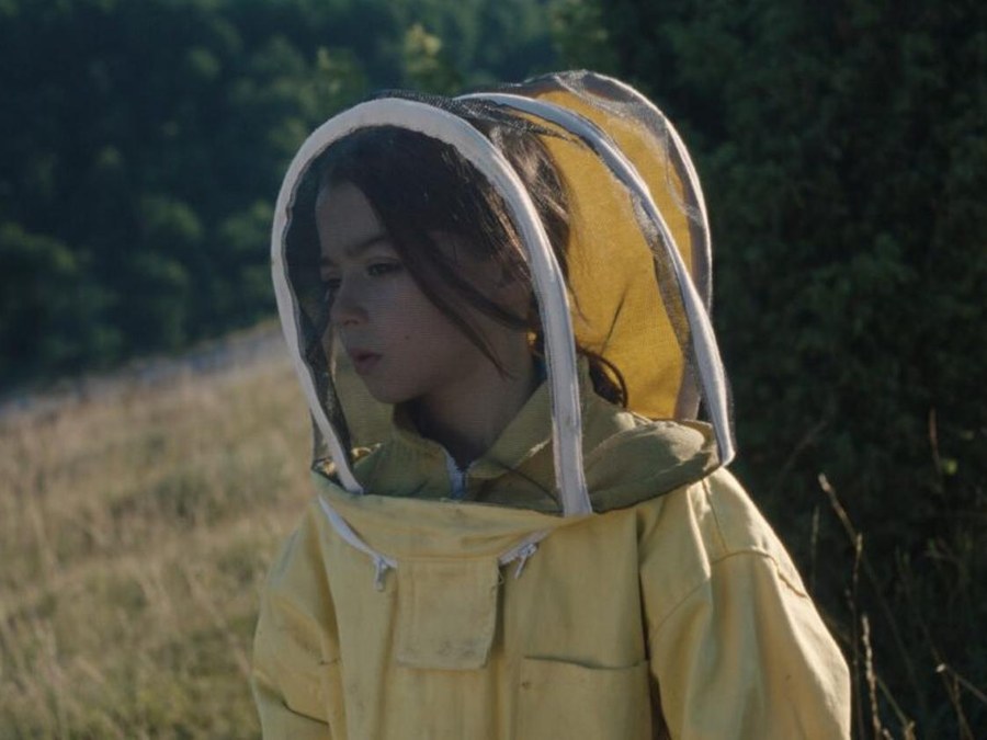 Proyección de la película "20.000 especies de abejas"