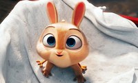 Proyección de la cinta "Hopper oilaskoerbia"