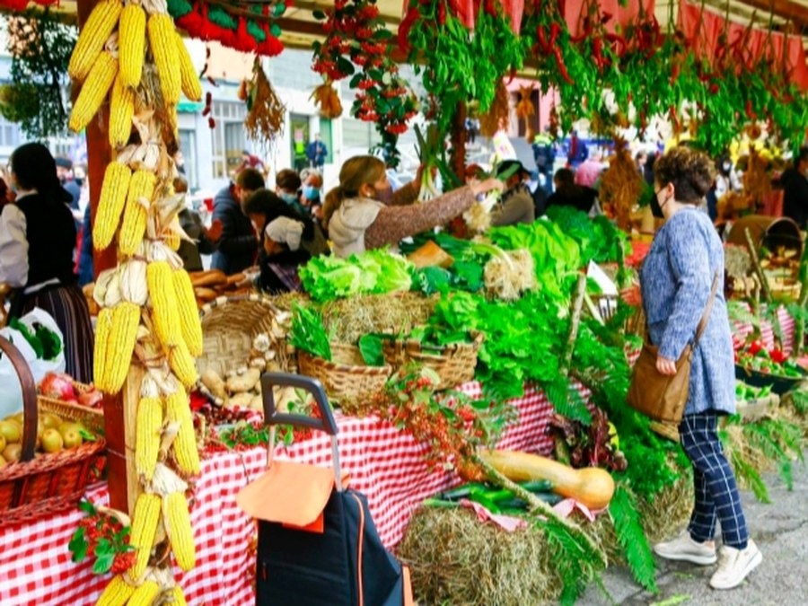 Reunión para preparar la Feria de Gaztañerre