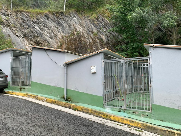 Servicio de recogida de animales Servicio de recogida de animales