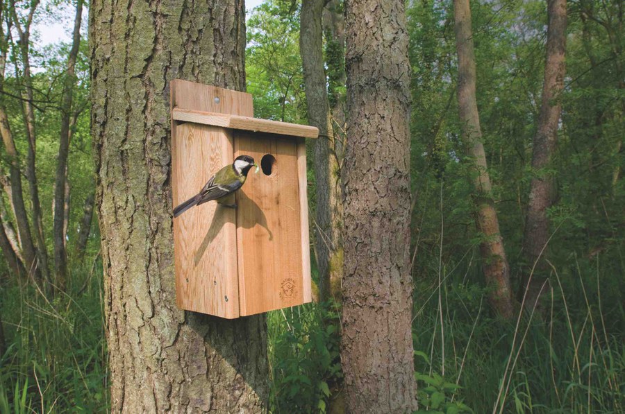 Taller para confeccionar nidos de pájaro Taller para confeccionar nidos de pájaro