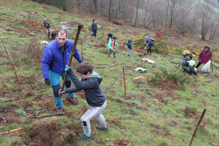 Zuhaitz Eguna, dentro de la programación de Korrika kulturala