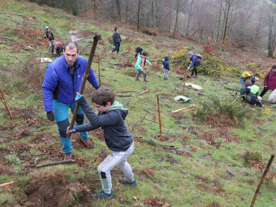 Zuhaitz Eguna, dentro de la programación de Korrika kulturala