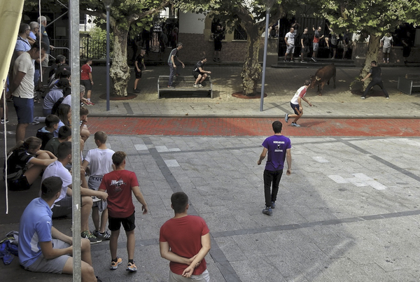 008-DSCN8996-e UDALA.jpg