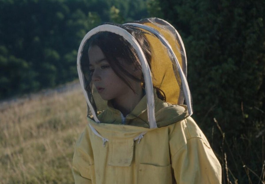 "20.000 especies de abejas" filmaren proiekzioa