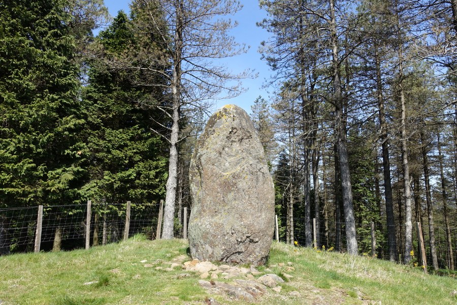 Dolmenen Ibilbideari buruzko liburua