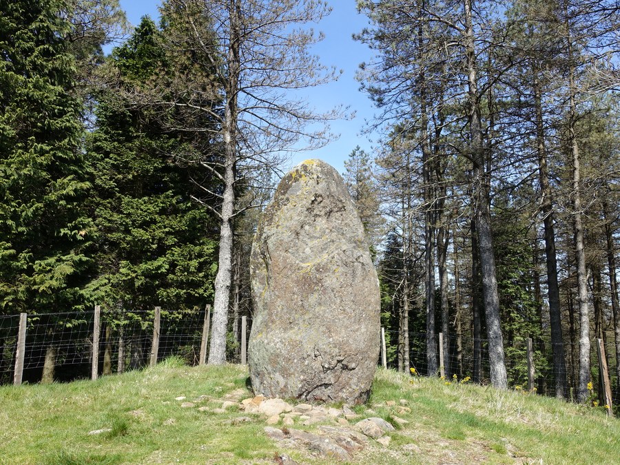 Dolmenen Ibilbideari buruzko liburua