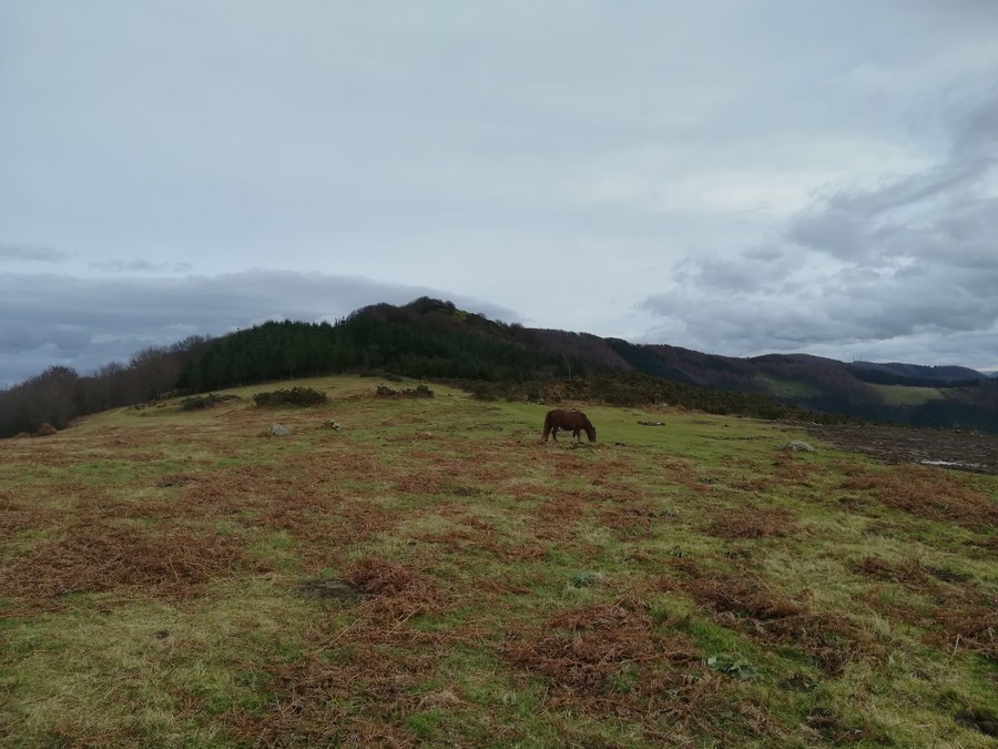 Garbiketa-lanak mendigainean Garbiketa-lanak mendigainean