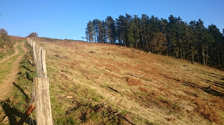 Garbiketa lanak mendigainean Garbiketa lanak mendigainean