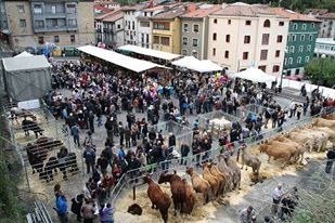 Gaztañerre Azoka prestatzeko bilera