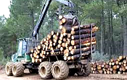Landa-bideen ordenantza adosteko bilera Landa-bideen ordenantza adosteko bilera