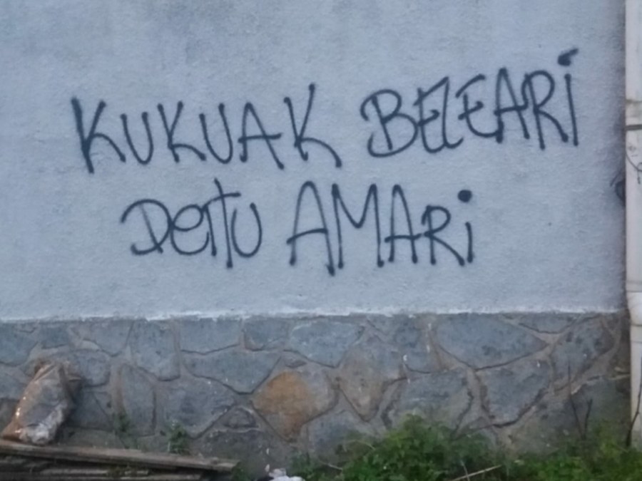 Pintada berria Sologoeneko zentralean