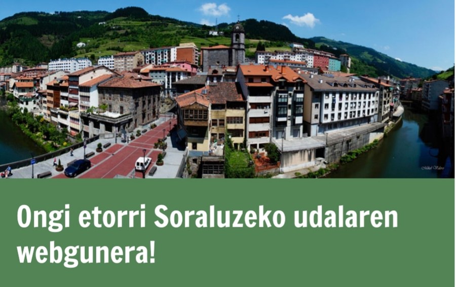 Udal webguneko bisiten igoera Udal webguneko bisiten igoera